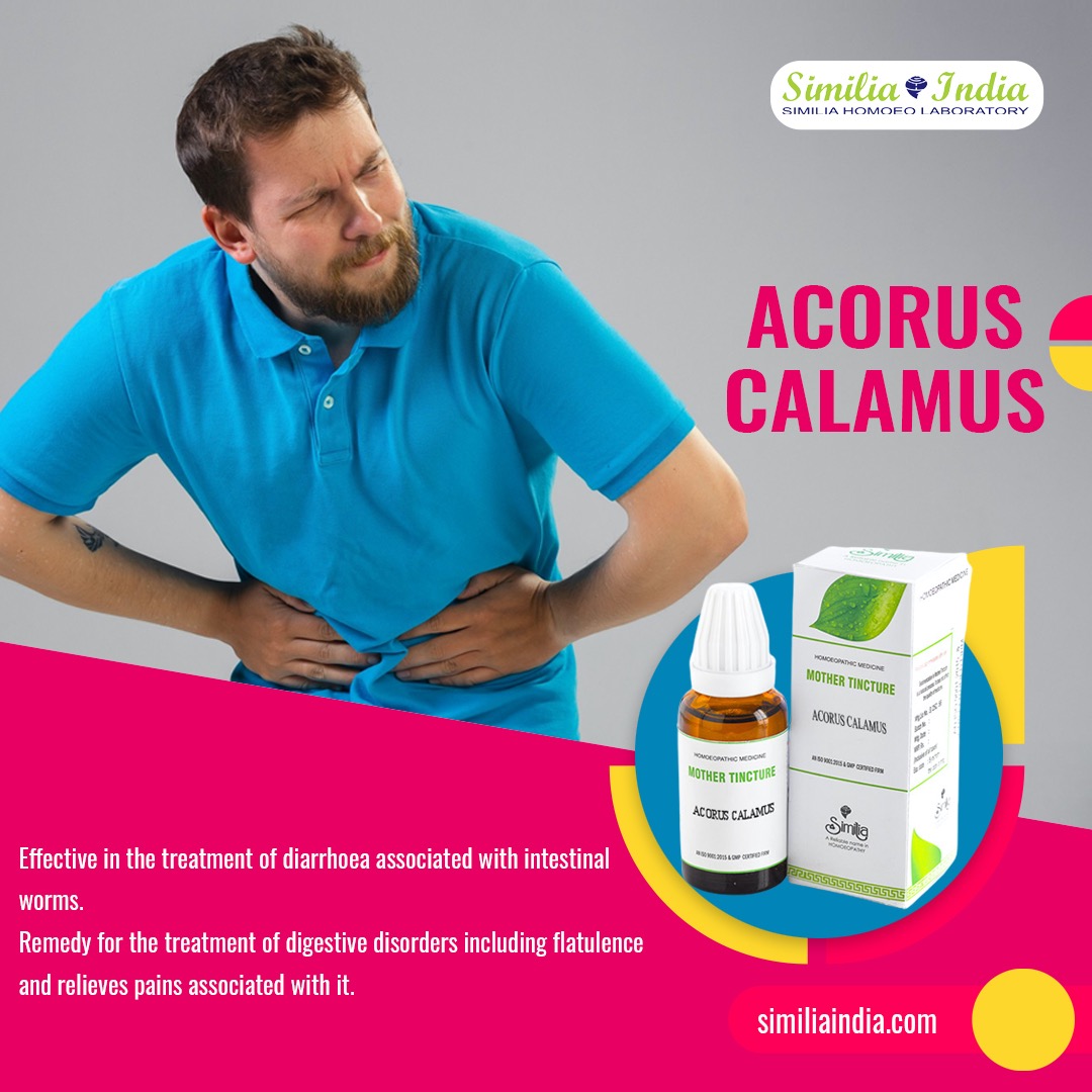 ACORUS CALAMUS Q