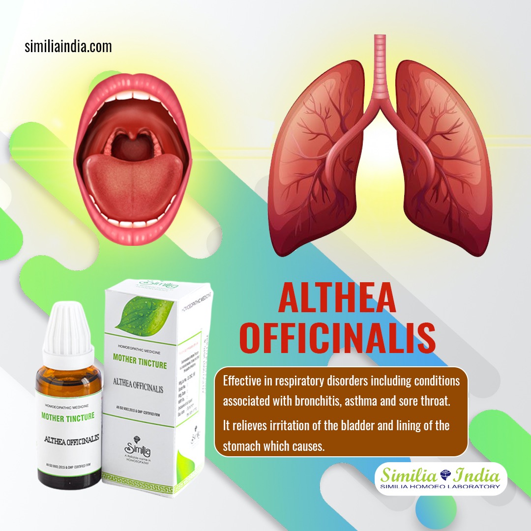 ALTHEA OFFICINALIS Q