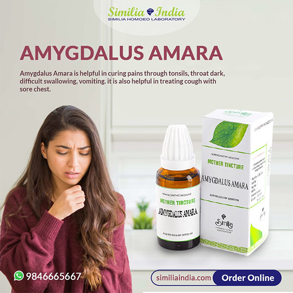 AMYGDALUS AMARA Q