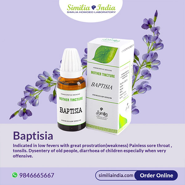 BAPTISIA T Q