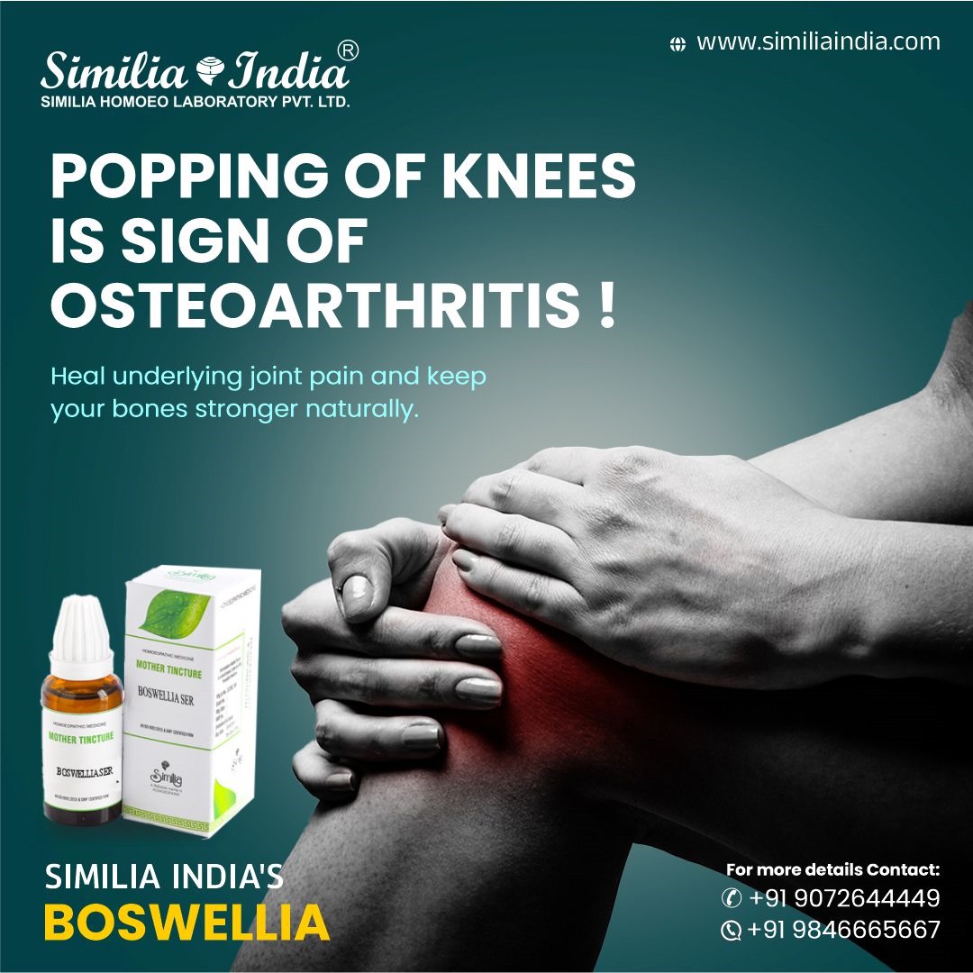 BOSWELLIA SERRATA Q