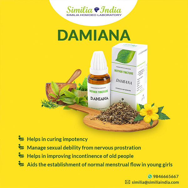 SIMILIA INDIA MOTHER TINCTURE DAMIANA
