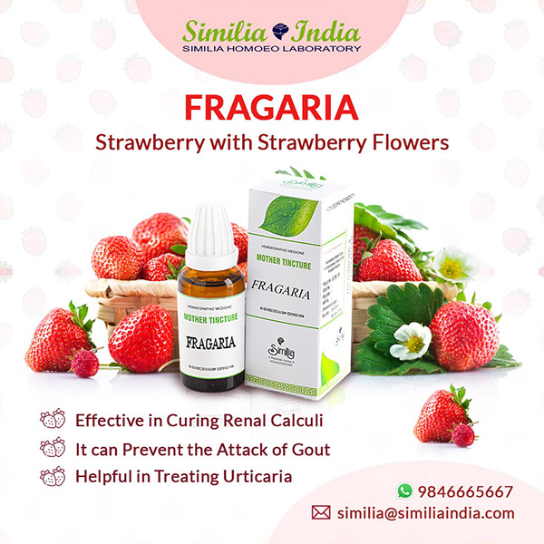 FRAGARIA Q
