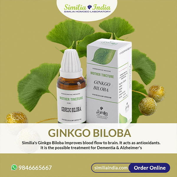 GINKGO BILOBA Q