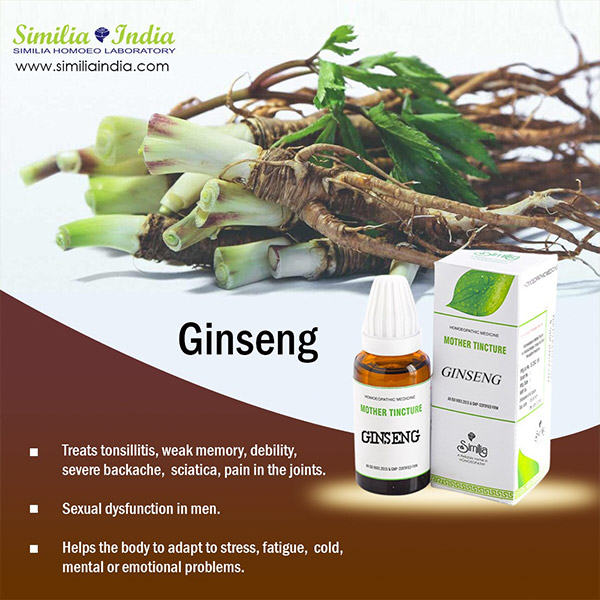 GINSENG Q