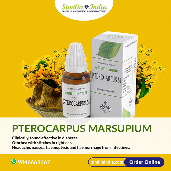 PTEROCARPUS MASUPIUM Q